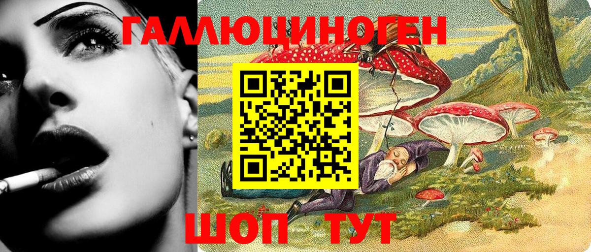 купить наркотик  Галлюциногенные грибы прущие грибы  Вход с VPN  Псилоцибиновые грибы Psilocybe  Горно-Алтайск 